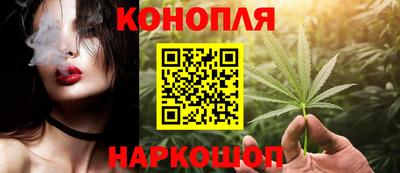 гидра Моздок