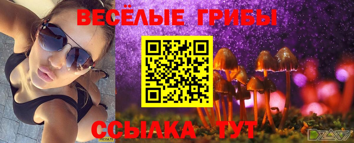 Псилоцибиновые грибы Psilocybine cubensis Феодосия